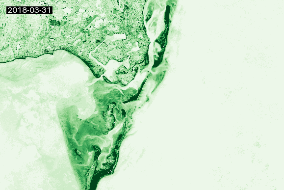 _images/examples_37_0.png
